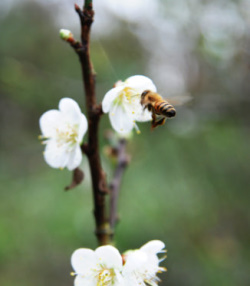 ����P�e��